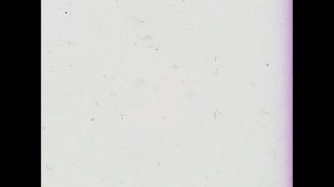 Safety Gear: Eye and Face Protection (1989).mp4.10.gif