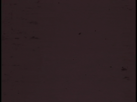 Safety Woman - Harm Hides At Home (1974).mp4.10.gif