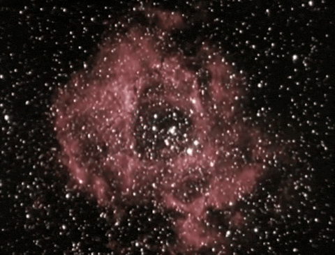 Safety Woman - In Danger Out of Doors (1974).mp4.2.gif