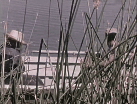 Safety Woman - In Danger Out of Doors (1974).mp4.4.gif