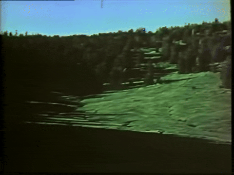 Sasquatch - The Legend Of Bigfoot (1976).mp4.7.gif