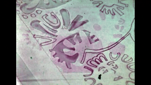 Silkscreen Fundamentals (1969).mp4.6.gif