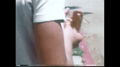 Skateboard Sense (1970).mp4.3.gif