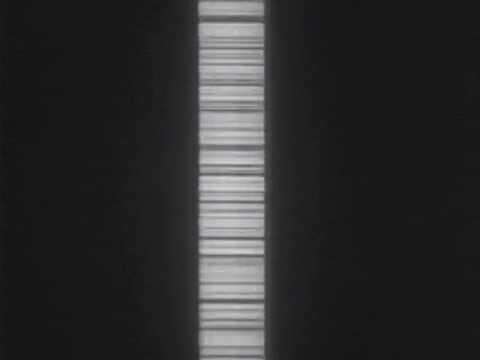 Sound Recording and Reproduction (Sound on Film) (1943).mp4.9.gif