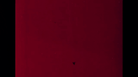 Spunky the Snowman (1968).mp4.10.gif