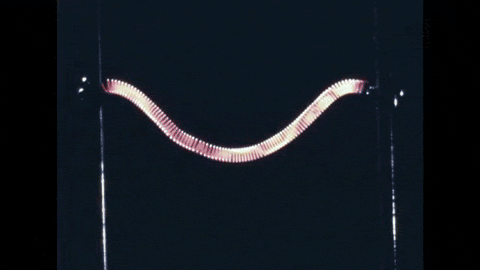 Static Electricity (1959).mp4.2.gif