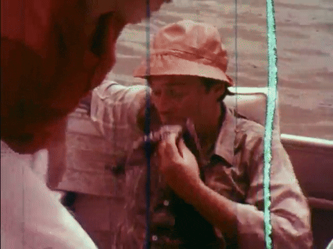Suddenly In Command (1977).mp4.5.gif