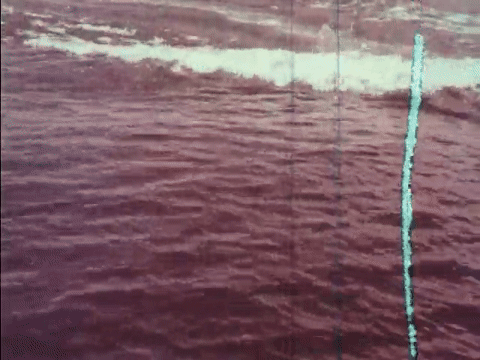 Suddenly In Command (1977).mp4.7.gif