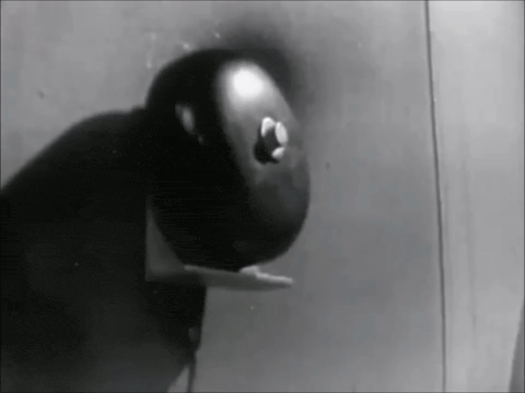 Suspense (1949) - S05E13. - Mr. Matches.mp4.2.gif