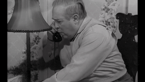 Teenagers from Outer Space (1959).mp4.4.gif