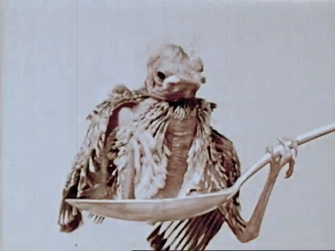 The Biography Of A Redwinged Blackbird (1946).mp4.8.gif