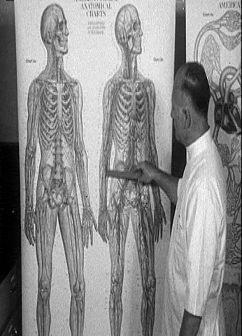 The Bottle and the Throttle (1961).mp4.3.gif