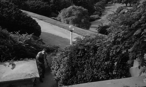 The Brain That Wouldn't Die (1962).mp4.2.gif