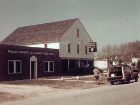 The Chicken of Tomorrow (1948).mp4.2.gif