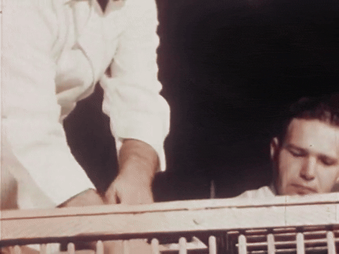 The Chicken of Tomorrow (1948).mp4.7.gif