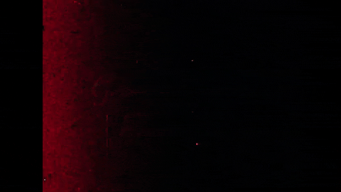 The Christmas Deer: A Legend Retold (1958).mp4.10.gif