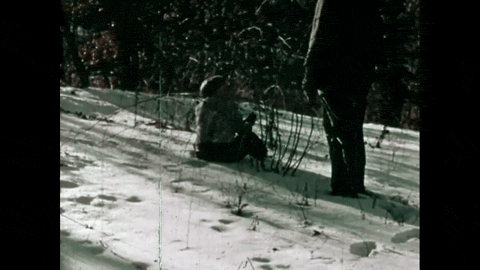 The Christmas Deer: A Legend Retold (1958).mp4.4.gif