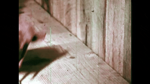 The Christmas Deer: A Legend Retold (1958).mp4.8.gif