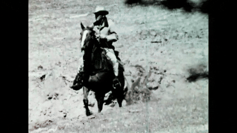 The Cinematographer (1969).mp4.2.gif