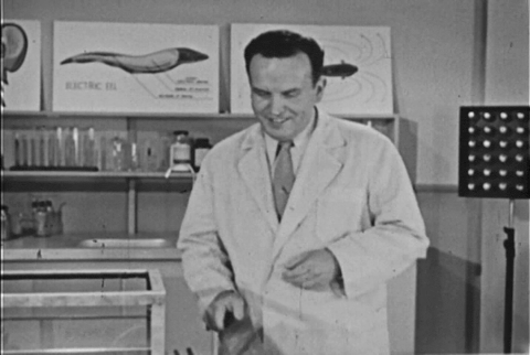 The Electric Eel (1954).mp4.1.gif
