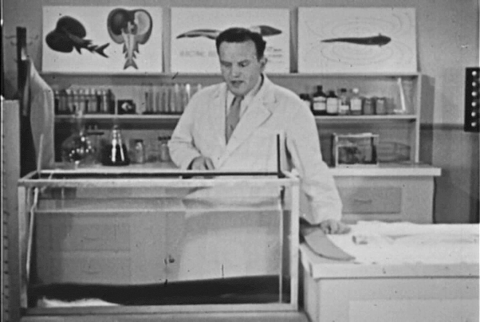 The Electric Eel (1954).mp4.2.gif