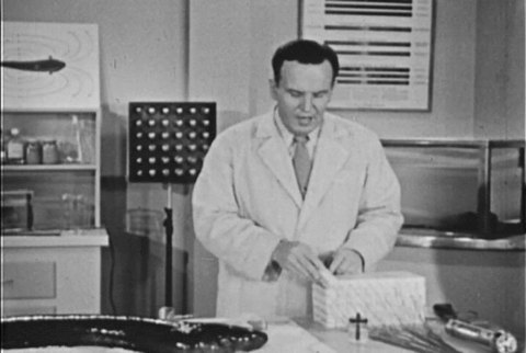 The Electric Eel (1954).mp4.6.gif