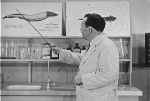 The Electric Eel (1954).mp4.7.gif