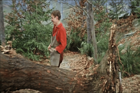 The Golden Goose (1969).mp4.3.gif