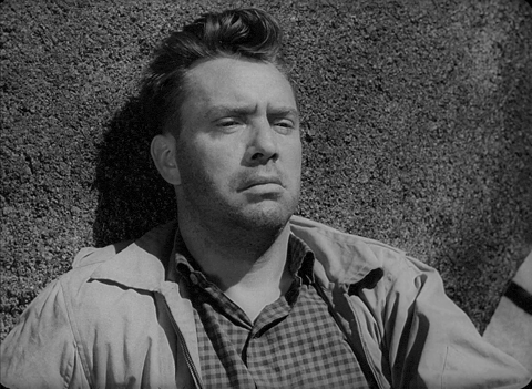 The Hitchhiker (1953).mp4.7.gif