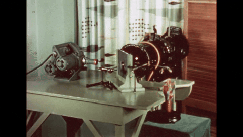 The Larynx and voice- Physiology of the Larynx Under Daily Stress (1958).mp4.2.gif