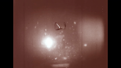 The Larynx and voice- Physiology of the Larynx Under Daily Stress (1958).mp4.3.gif