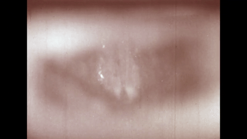 The Larynx and voice- Physiology of the Larynx Under Daily Stress (1958).mp4.5.gif