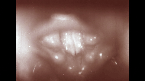The Larynx and voice- Physiology of the Larynx Under Daily Stress (1958).mp4.7.gif