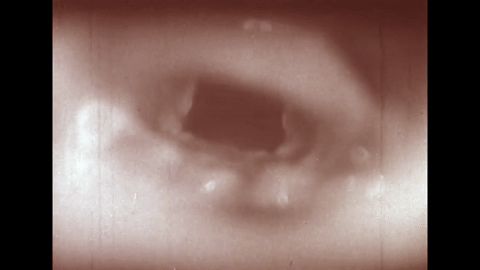 The Larynx and voice- Physiology of the Larynx Under Daily Stress (1958).mp4.8.gif