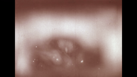 The Larynx and voice- Physiology of the Larynx Under Daily Stress (1958).mp4.9.gif