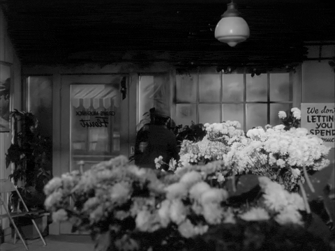 The Little Shop Of Horrors (1960).mp4.2.gif
