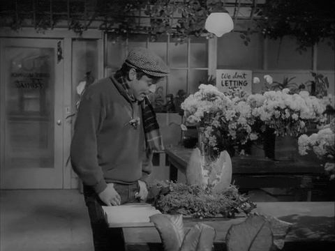 The Little Shop Of Horrors (1960).mp4.3.gif