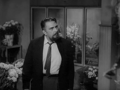 The Little Shop Of Horrors (1960).mp4.7.gif