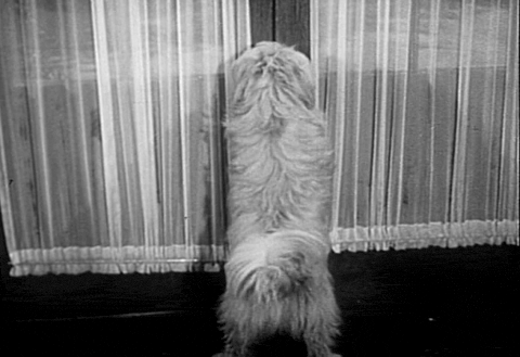 The Missing Corpse (1945).mp4.4.gif