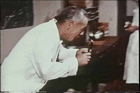 The Mysterians (1957).mp4.3.gif