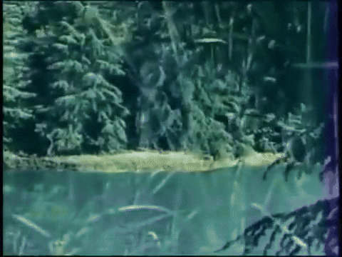 The Mysterious Monsters (1975).mp4.9.gif