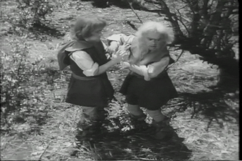 The Seven Dwarfs to the Rescue (1951).mp4.7.gif