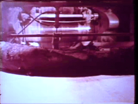 The Story of OSHA (Censored Government Video) Part 2 (1980).mp4.6.gif