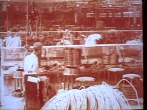 The Story of OSHA (Censored Government Video) Part 3 (1980).mp4.2.gif