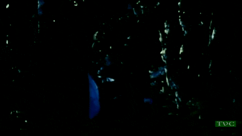 The Terror (1963).mp4.2.gif