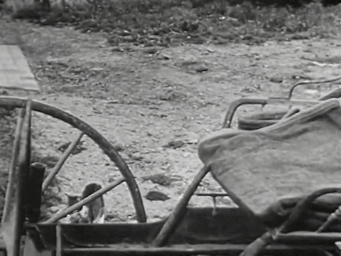 Three Little Kittens (1938).mp4.3.gif