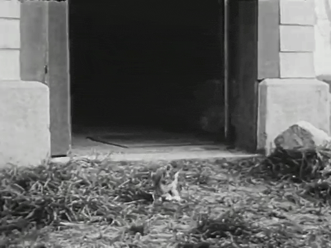 Three Little Kittens (1938).mp4.5.gif