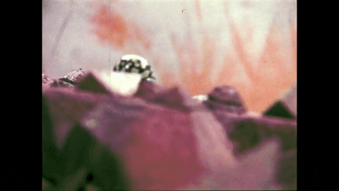 Toys (1967).mp4.4.gif