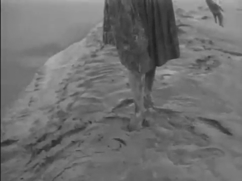 Trailer for Carnival of Souls (1962).mp4.2.gif