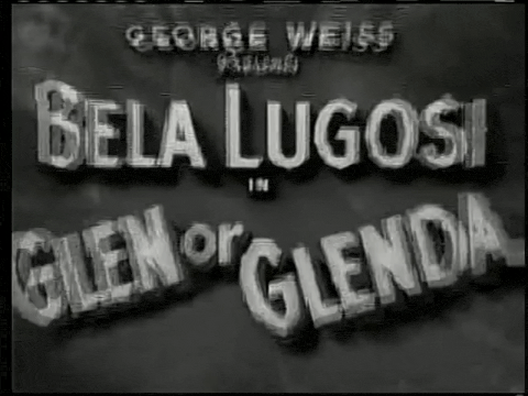 Trailer for Glen or Glenda (1952).mp4.10.gif